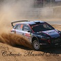 Rally de Portugal 2018  (381).JPG